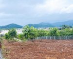 Cần bán nhanh đất vườn tại Chi Lăng – Nam Ban- Lâm Hà giá 5.3ty