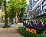 Cho thuê shophouse khối đế chung cư Diamond Alnata Celadon City diện tích 200 – 700m2